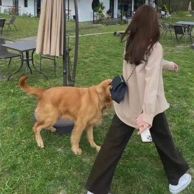狼嚎再起